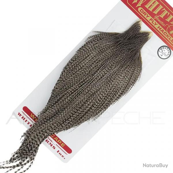 Cous de coq WHITING Silver Grizzly teint gris