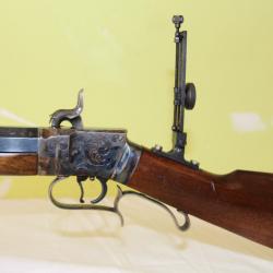 Vends carabine palméto wesson 50