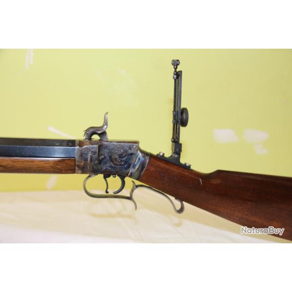 Vends carabine palmto wesson 50
