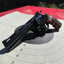 COLT PYTHON 1981