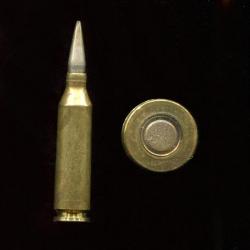 5.6 x 48 EIGER Suisse - RARE - balle nickel pointue - étui laiton gros bourrelet - grosse amorce