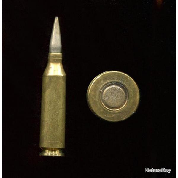 5.6 x 48 EIGER Suisse - RARE - balle nickel pointue - tui laiton gros bourrelet - grosse amorce