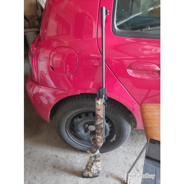 Carabine 17 joules 5.5 mm
