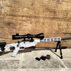 Carabine Ruger Precision Rimfire + lunette + silencieux + bipied + chargeur supp