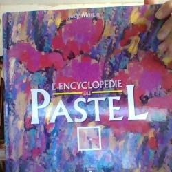 l'encyclopedie du pastel par Judy Martin - Fleurus Idees -