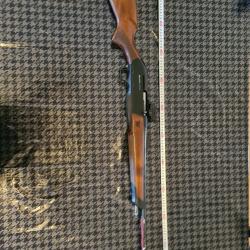 Winchester sxr vulcan 300 win