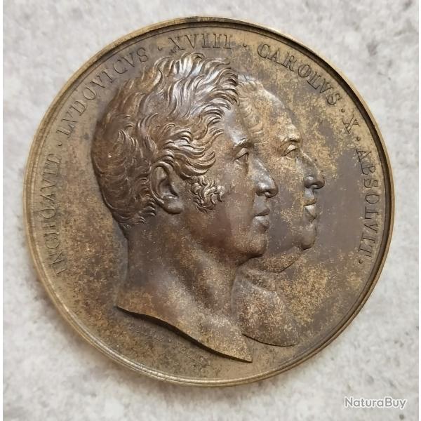 Mdaille en BRONZE CHARLES X 1825 Remplac .Statue de Louis XVIII Lyon Bellecour