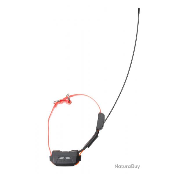Ensemble de localisation Canicom GPS MINI avec stimulation - NUM'AXES