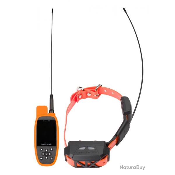 Ensemble de localisation Canicom GPS MINI avec stimulation - NUM'AXES