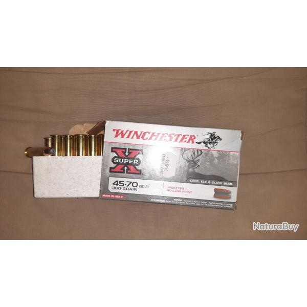 Balles 45-70