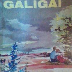 Galigai par Francois Mauriac -J'ai lu -