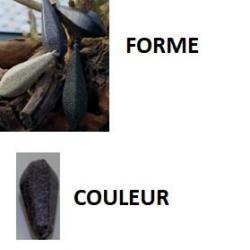 PLOMBS CARPE BOMBE 6 FACES GRAVIER LISSE PAR 5 140gr