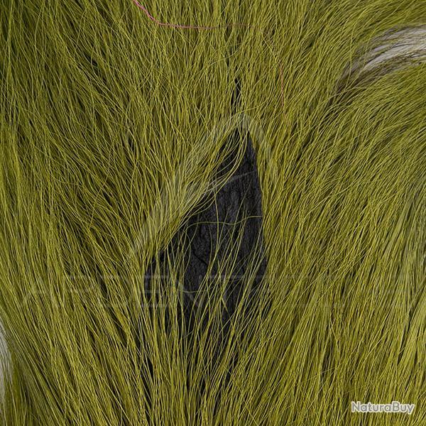 Bucktail queue de daim Large Olive