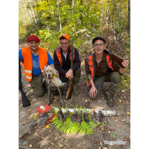 Chasse bcasse