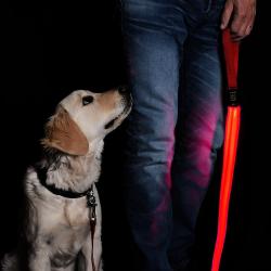 LAISSE  POUR CHIEN 150CM ECLAIRAGE LED ROUGE