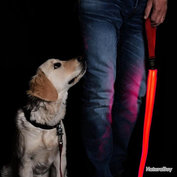 LAISSE  POUR CHIEN 150CM ECLAIRAGE LED ROUGE