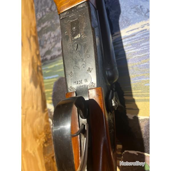 ENCHERES 1 - BAIKAL T03-54  A CHIENS 12/70 - 71CM