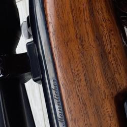 Steyr mannlicher sbs 96 , calibre 270 wsm avec montage fixe .