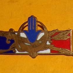 Forces Françaises en Afrique du Nord, émail , FABRICANT EDITIONS A.V PARIS  ,  HOMOLOGATION 1314 , B
