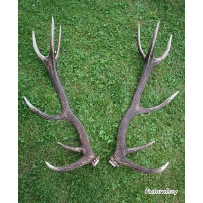 Socle En Bois De Cerf 13 X 5 X 18 50 Cm