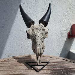 Crâne de chèvre sculpté sur socle #2