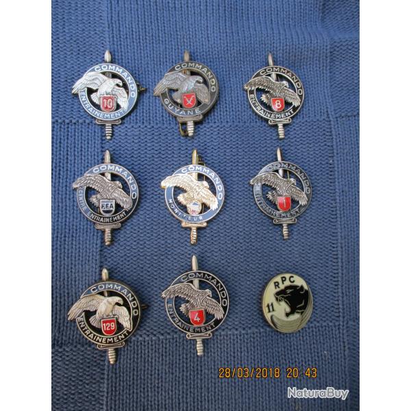 lot d'insignes d'entrainement commando