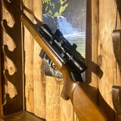 ENCHERES 1 - GEVARM A7 22LR + LUNETTE SIGHT OPTICS 4X32