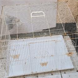 Cage oiseaux