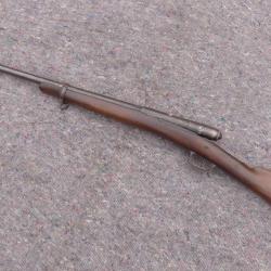 Fusil Vetterli 1870 chasse cal 24 ( P15  1 )