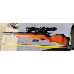 GAMO RISER PUNISHER 5,5 mm 19,9joules + lunette VALIANT 6x24x50 + kit de puissance 40 joules