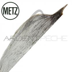 1/2 cous de coq METZ grade 3 gris clair