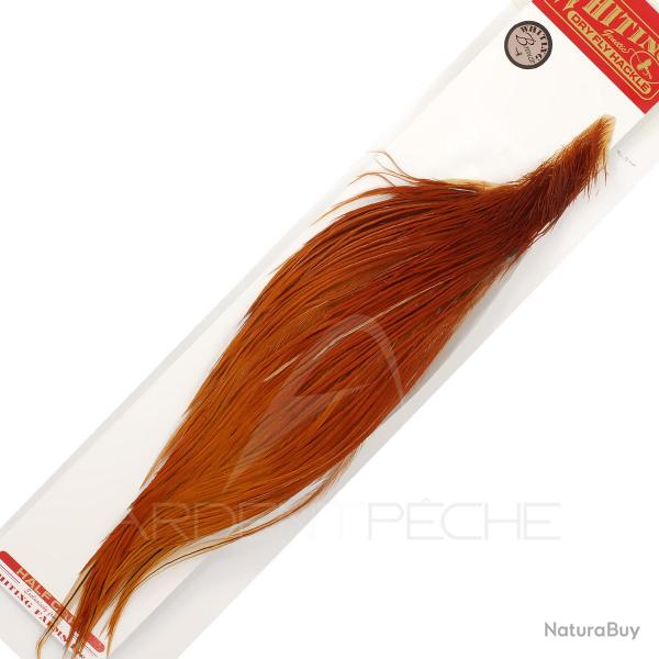 1/2 cous de coq WHITING bronze roux