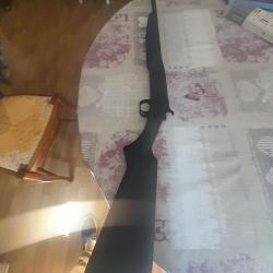 Carabine verney carron solo 410