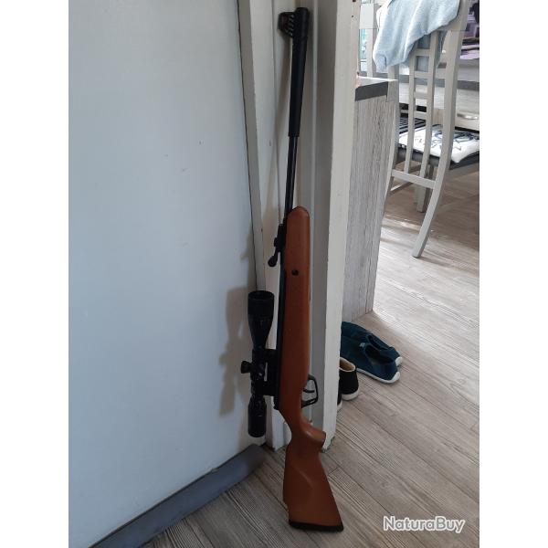 Carabine  air comprim
