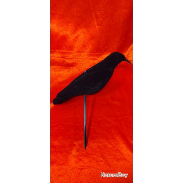 Forme de corbeau floqu avec pied lot de 5