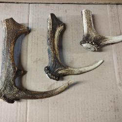 PARTIES INFERIEURES BOIS MUES DE CERF FABRICATION COUTELLERIE OBJET DIVERS