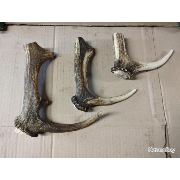 PARTIES INFERIEURES BOIS MUES DE CERF FABRICATION COUTELLERIE OBJET DIVERS