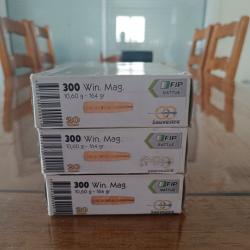 Munitions 300wm