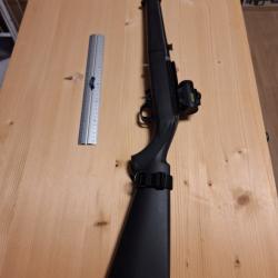 Ruger Takedown 10 22 frein de bouche et accessoires