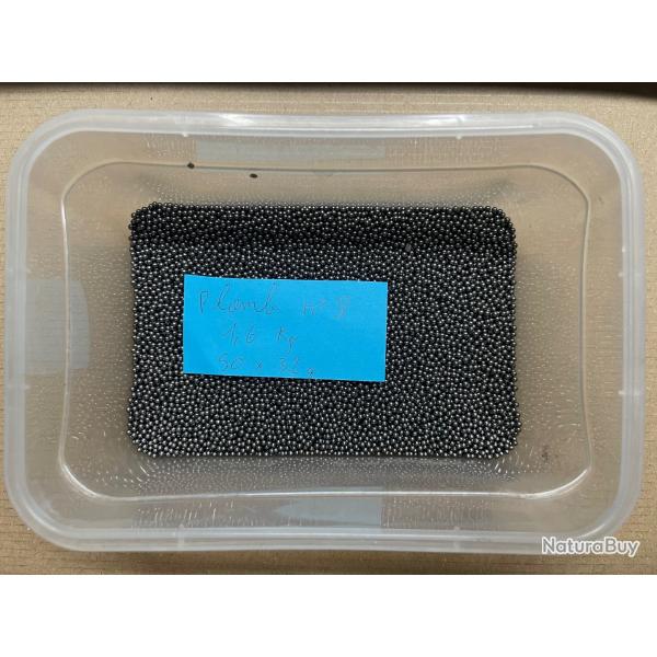 1.6 kg en vrac de plomb n8 (50x32g)