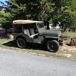 jeep willys