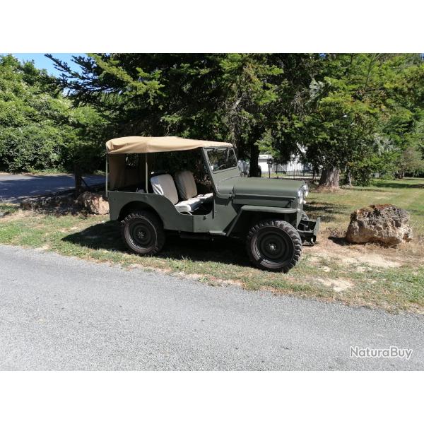 jeep willys