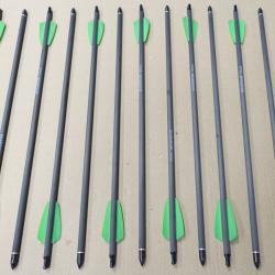 lot de 12 traits carreaux fleches carbone 15" (38cm) pour arbalète EK Archery R9 RX Cobra / System