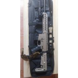 Carabine 22lr PALLAS chargeur 10 coups bipied crosse retractable lunettes avec point rouge