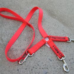 Laisse Nylon pour 3 Chiens.