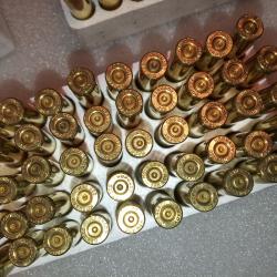 150 douilles 222R Hornady tirées 1 X