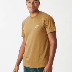 Tee Shirt en Coton Picture ADAK TEE Camel