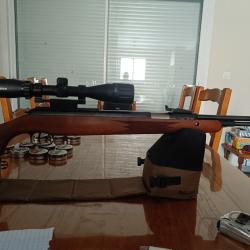 Carabine a air comprimé diana 460 magnum
