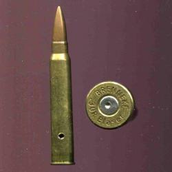 .30 R Blaser - marque : BRENNEKE - balle cuivre pointue