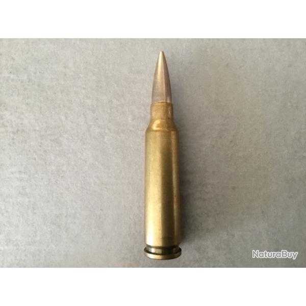 RARISSIME 6.45 x 48 SUISSE EXPRIMENTALE